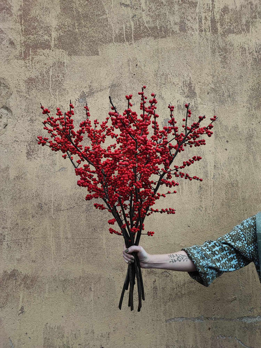 Ką svarbu žinoti perkant gėles žiemos metu